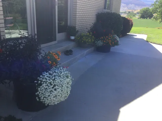 Brick exterior with a concrete patio and steps