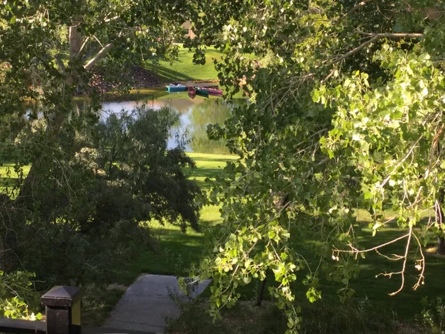 Lush green foliage frames a tranquil pond with distant boats and a manicured lawn
