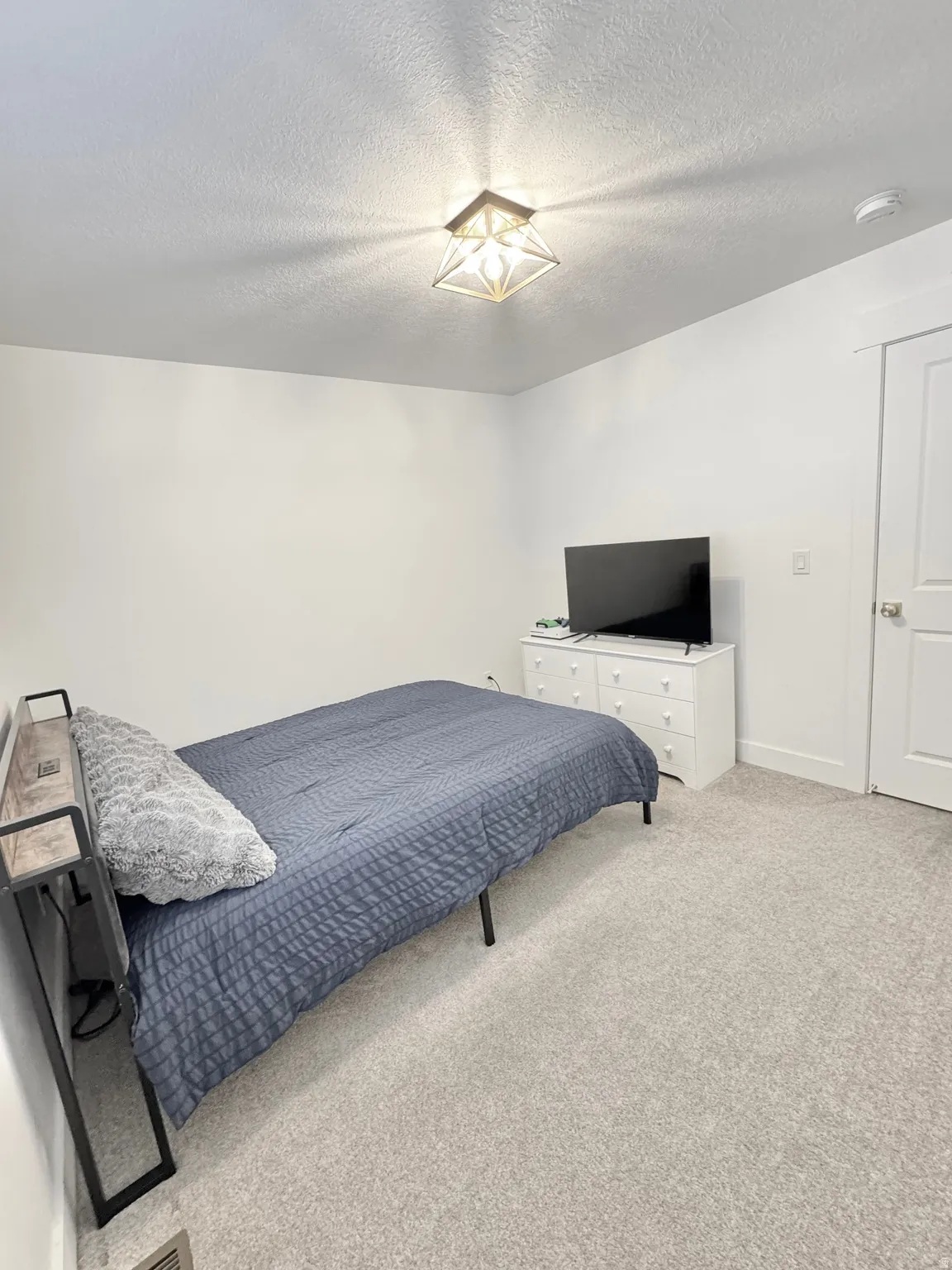 Wall-to-wall carpeting with light-toned walls, featuring a flush-mount ceiling fixture and a paneled door