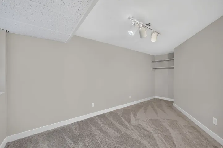 Neutral wall color, track lighting fixture, built-in shelving, and carpeting