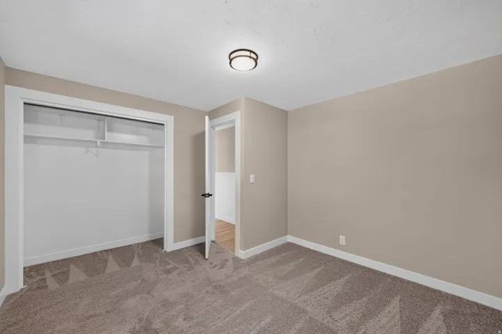 Recessed closet with integrated shelving, ceiling-mounted flush light fixture, neutral wall paint, and textured carpet flooring