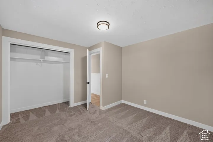 Recessed closet with integrated shelving, ceiling-mounted flush light fixture, neutral wall paint, and textured carpet flooring
