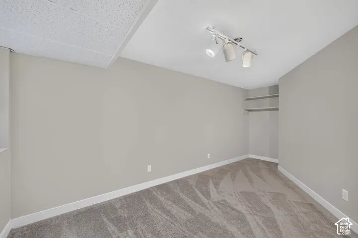 Neutral wall color, track lighting fixture, built-in shelving, and carpeting