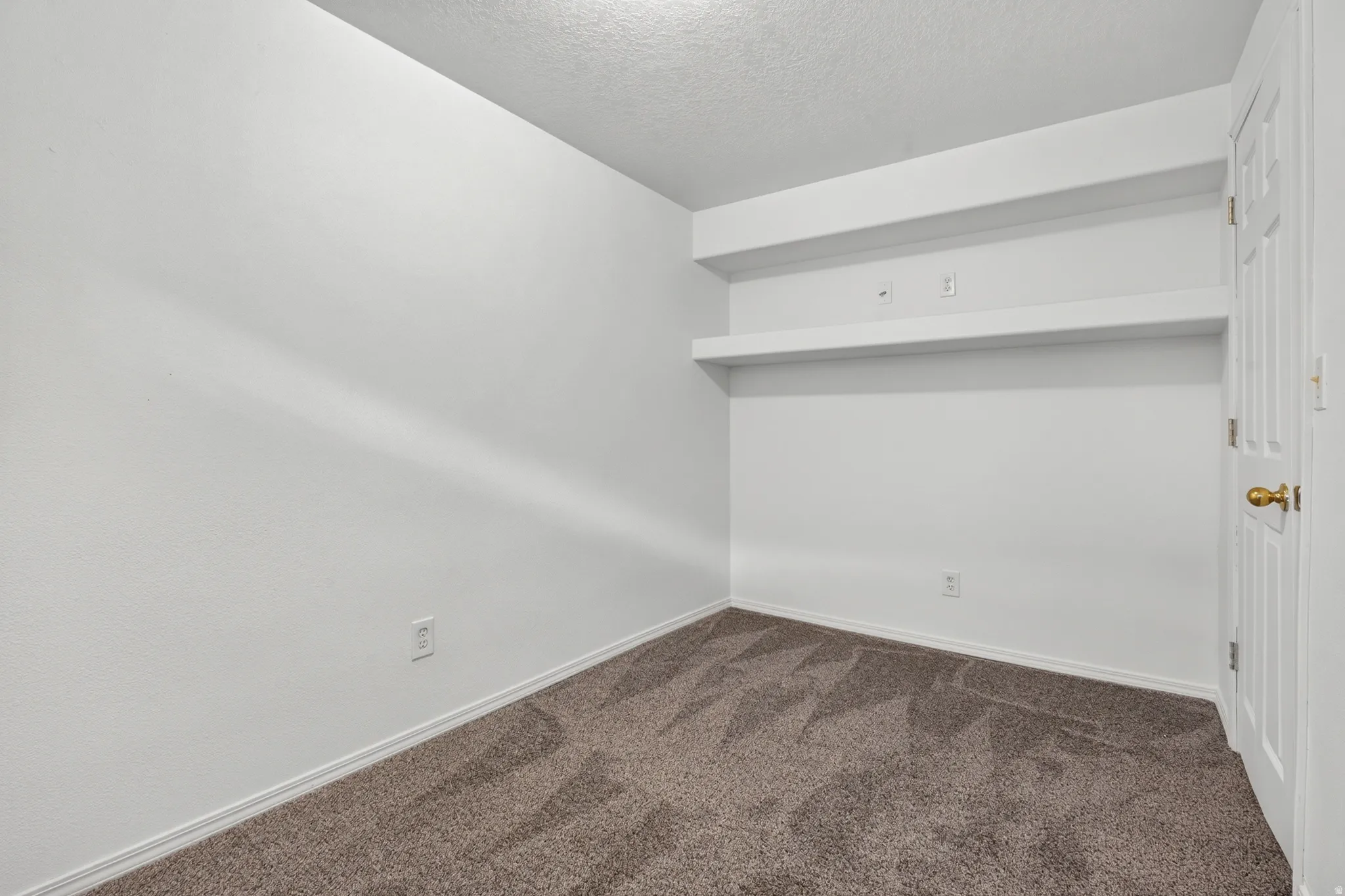 Built-in shelving, paneled door, and carpeted flooring