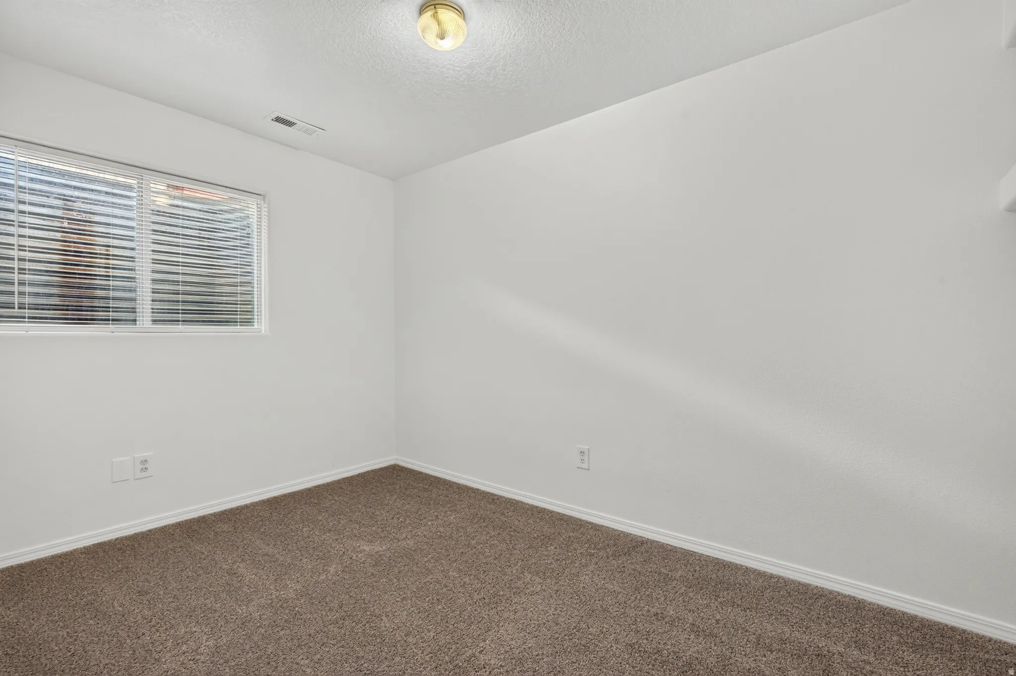 Neutral wall paint with textured carpeting and window blinds
