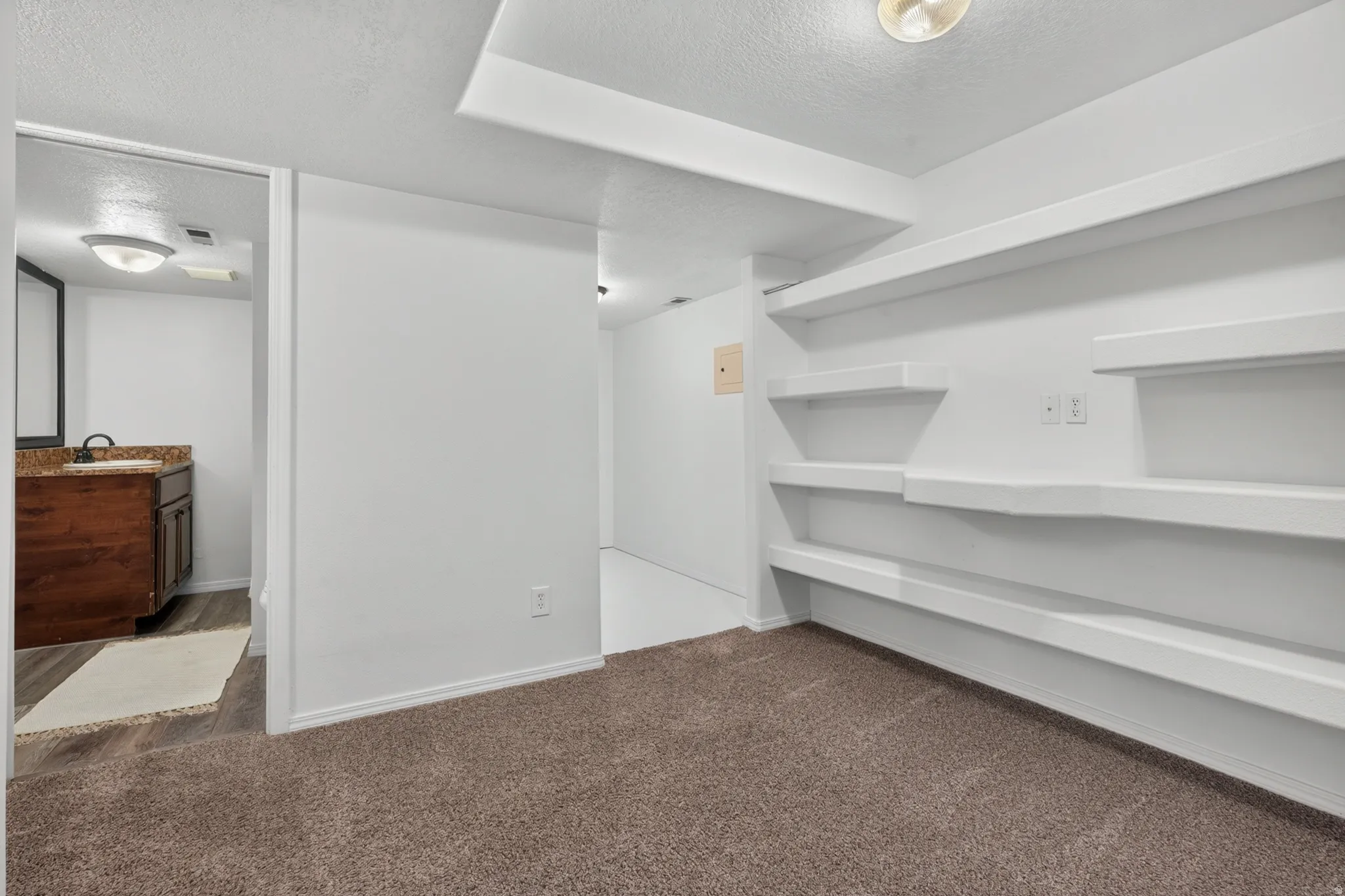 Built-in shelving, plush carpeting, wood-finish flooring, and a bathroom vanity with a basin sink and dark-toned cabinetry