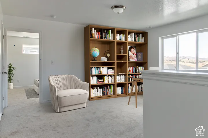 Built-in wood-finish shelving, overhead light fixture, carpeted flooring, and white window trim