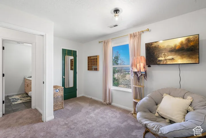 Carpeted flooring, white walls, built-in window, and overhead lighting fixture