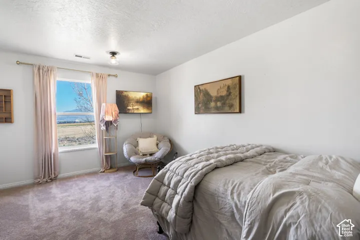 Window with outdoor scenery, wall-mounted light fixture, and carpeted flooring