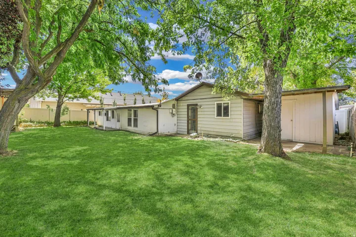 Expansive lawn with mature trees, a covered patio area, and an exterior storage shed