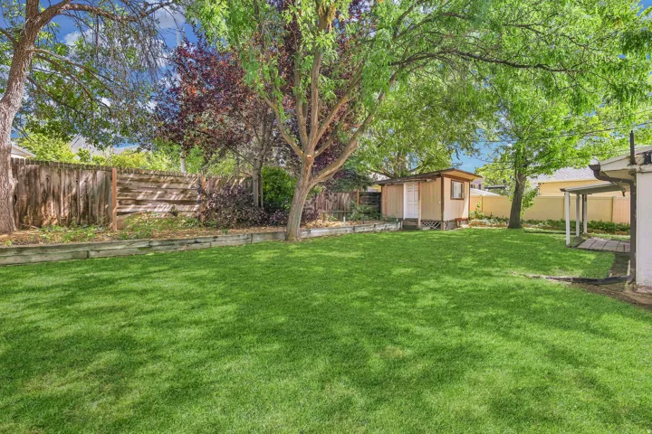Expansive grassy yard featuring mature trees, a wood privacy fence, and a detached shed