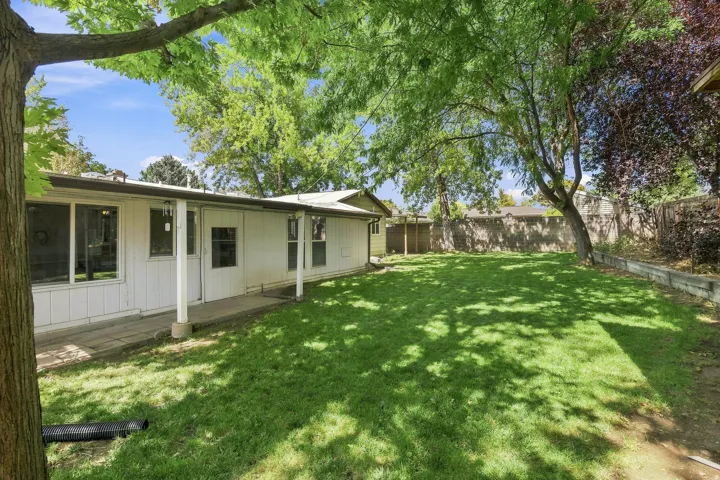 Expansive private, fully fenced backyard with mature trees