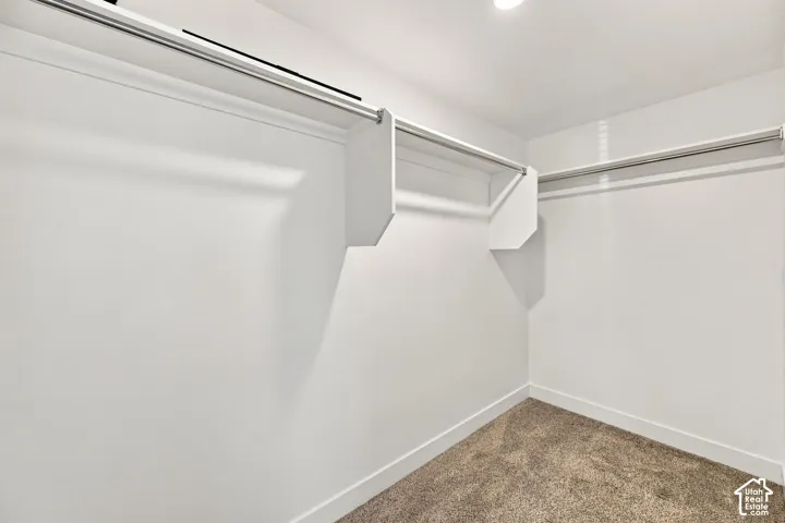 Walk-in closet with integrated shelving, multiple chrome hanging rods, recessed ceiling lighting, and carpeted flooring