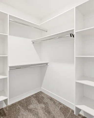 Built-in closet system featuring white shelving, multiple hanging rods, and plush carpet flooring