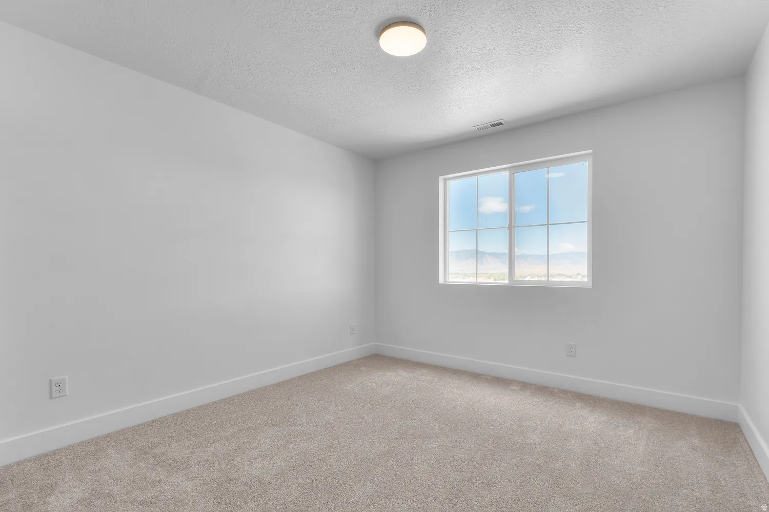 Light-colored carpeting, white walls, and a multi-pane window with a mountain backdrop