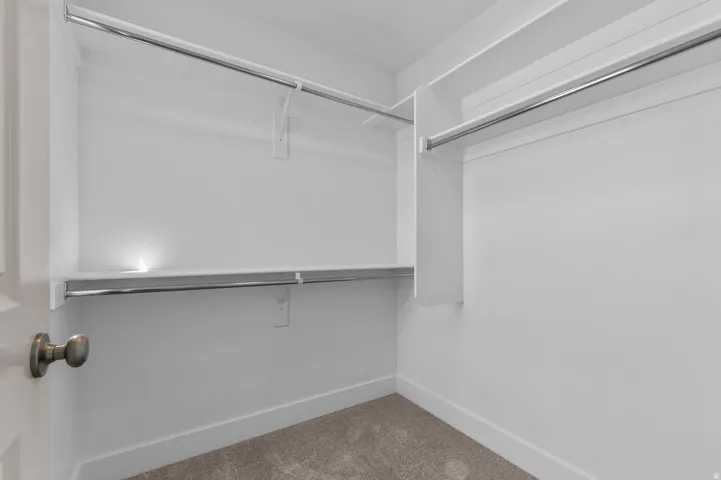 White walk-in closet with built-in shelving, chrome hanging rods, and neutral-toned carpeting