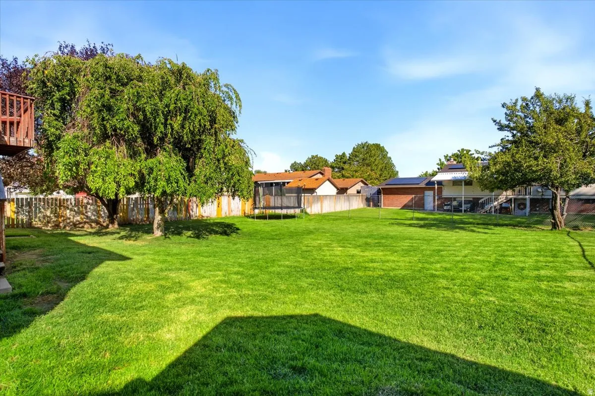 Expansive green lawn, mature trees, and privacy fencing