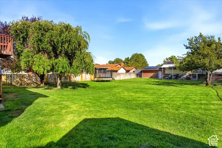 Expansive green lawn, mature trees, and privacy fencing
