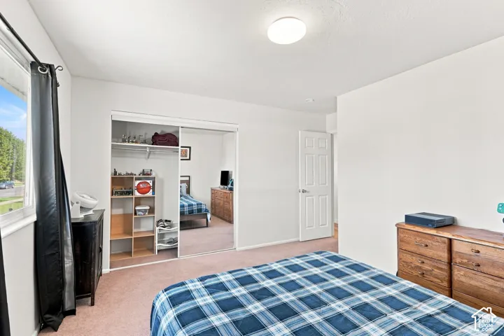 Spacious room featuring carpeted flooring, a ceiling-mounted light fixture, and a window with a dark curtain rod