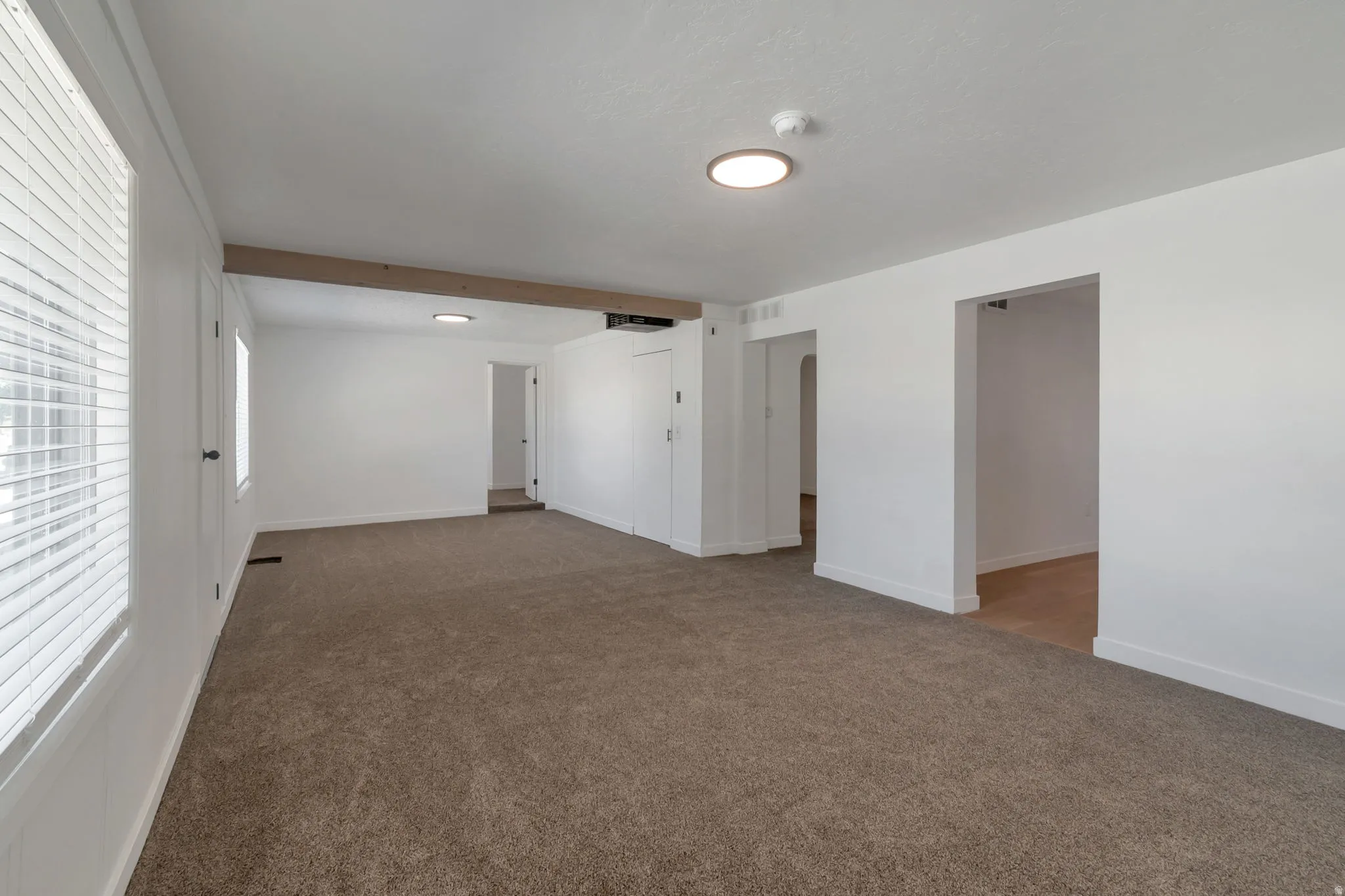 Expansive room featuring neutral-toned carpeting, white painted walls, and multiple window openings with blinds
