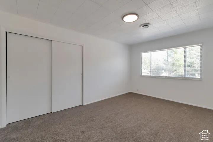 Wall-to-wall carpeting with white painted walls, featuring a window with horizontal blinds