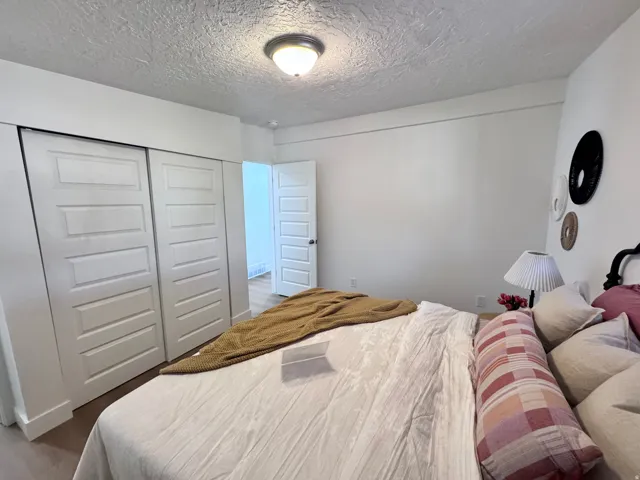 White painted paneled doors, wood-finish flooring, and a flush mount ceiling light