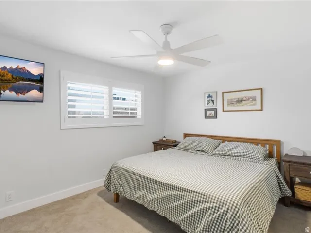 White walls with carpet flooring