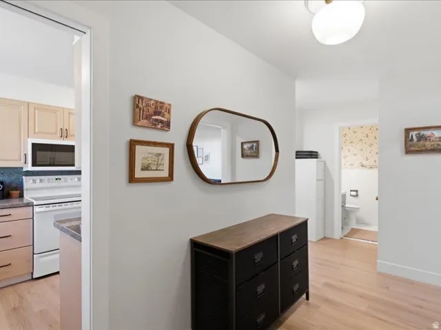 Recessed kitchen entry with light wood-finish flooring, white walls, and a ceiling-mounted light fixture