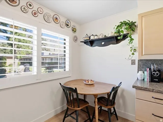 Dual windows with plantation shutters, wood-finish flooring, built-in shelving, light-toned cabinetry, and a stone countertop