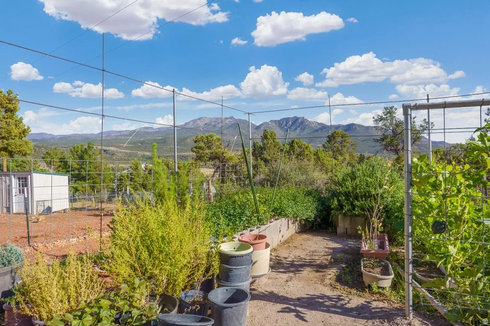 Expansive outdoor space featuring a garden area with raised beds, a small shed, and distant mountains