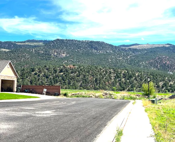 Mountainous backdrop with extensive tree coverage