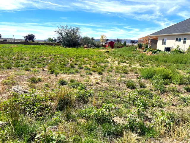 Expansive undeveloped lot with varied ground cover and distant landscape