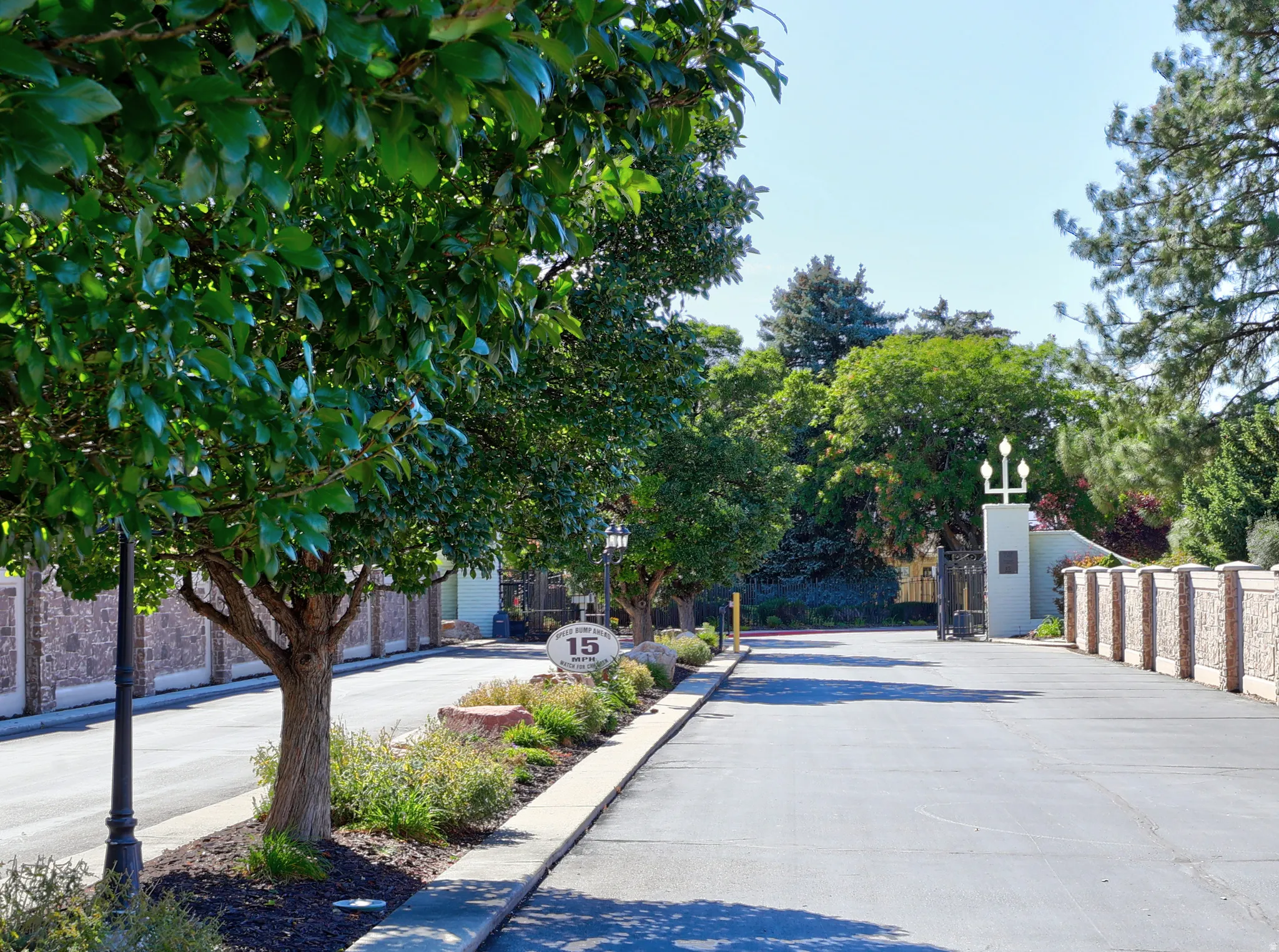 Paved entry drive with mature trees, established landscaping, decorative wall features, and an ornamental gate
