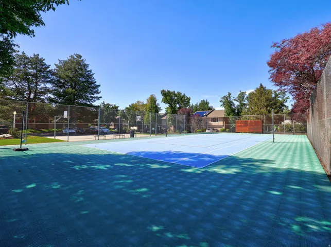 Sport court featuring a blue playing surface, perimeter fencing, and surrounding mature trees