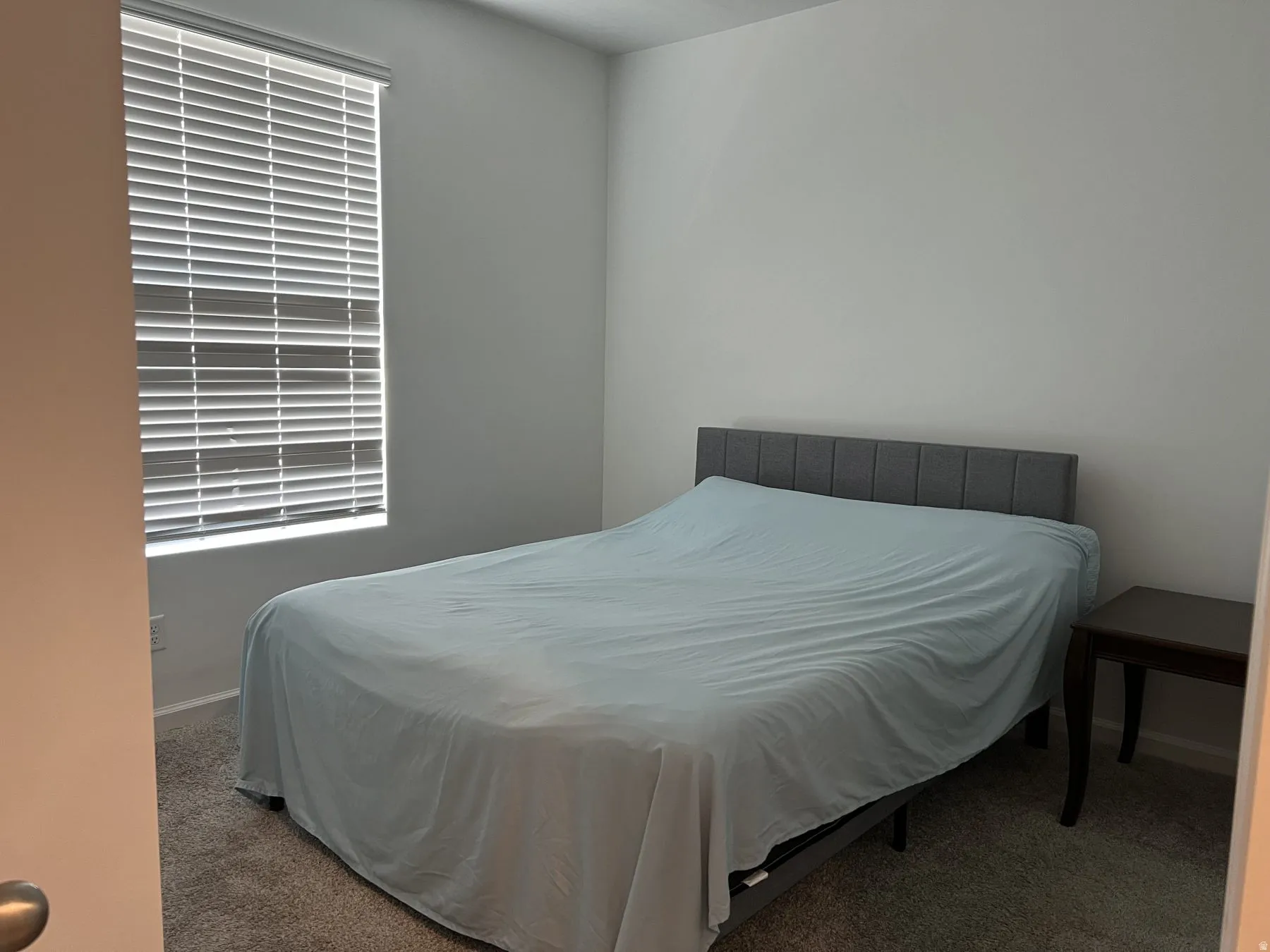 Textured carpet flooring with neutral wall paint and a window with horizontal blinds