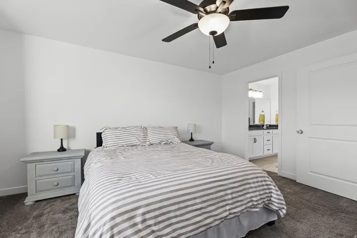 Spacious room with plush carpet, a built-in ceiling fan, and bright white walls