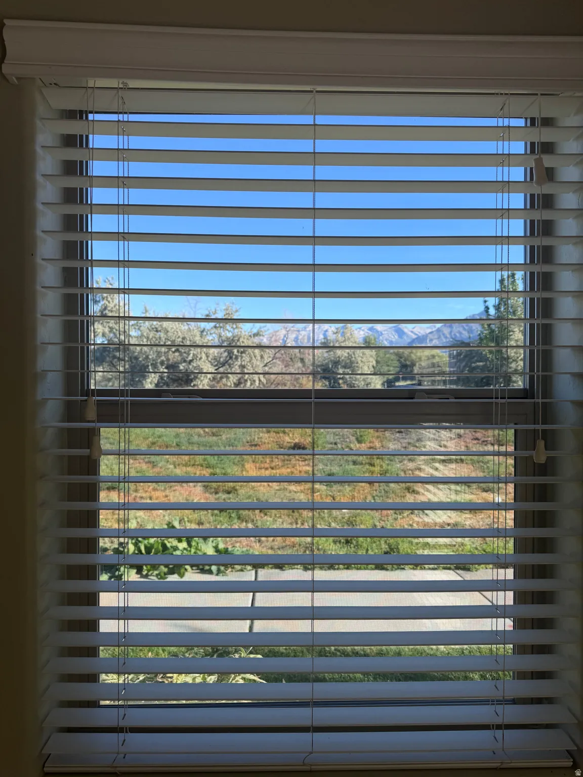 Window with horizontal blinds and valance