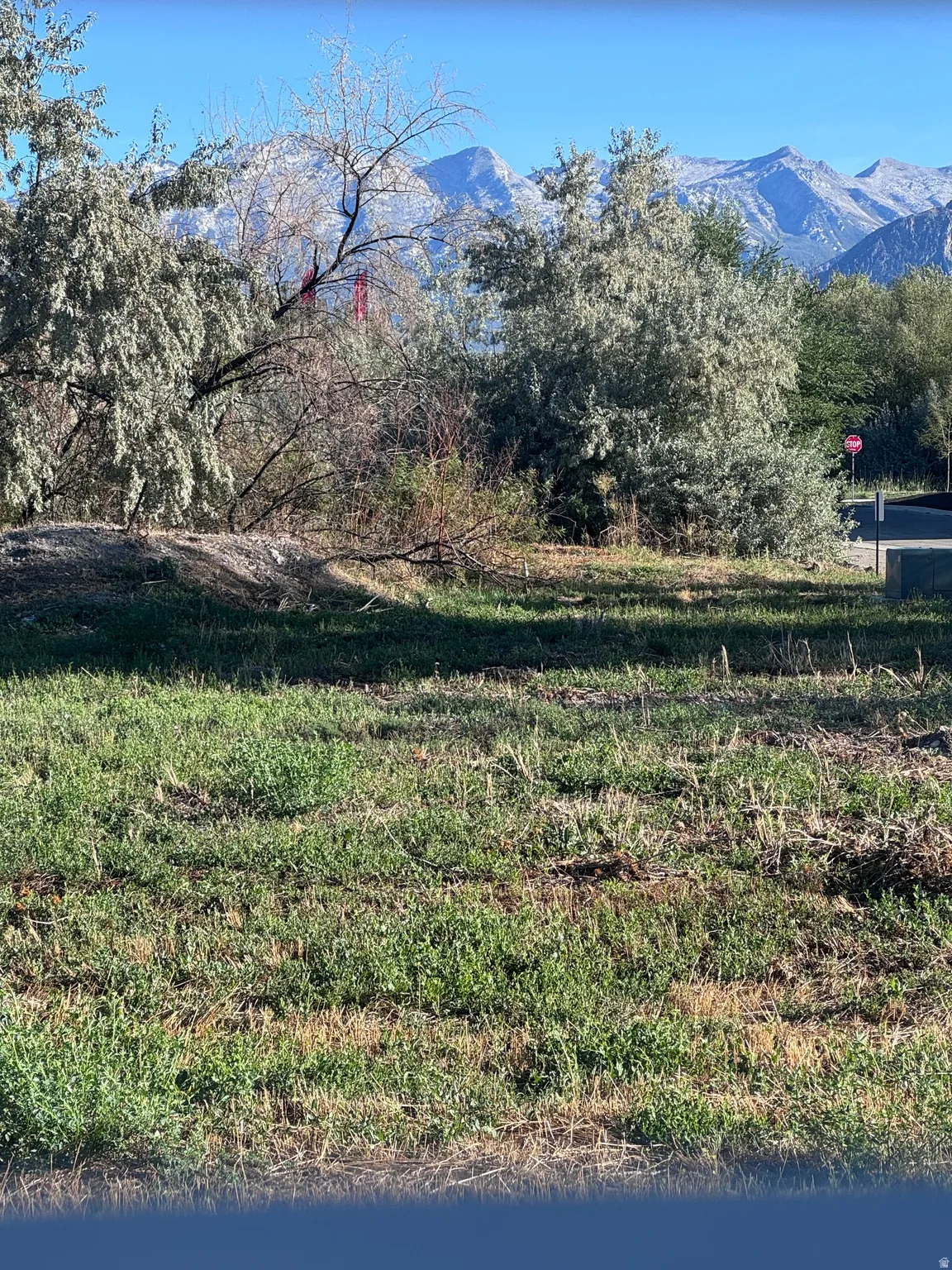 Expansive lot featuring natural landscaping and a mountain backdrop