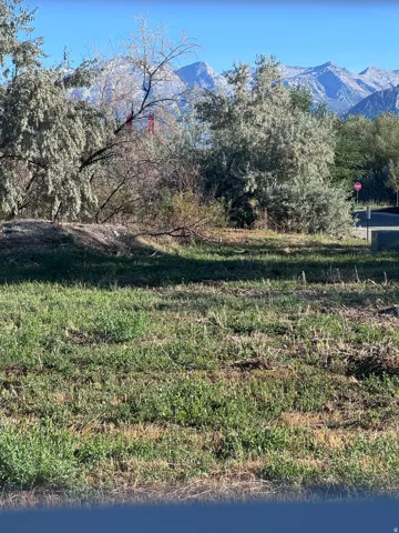 Expansive lot featuring natural landscaping and a mountain backdrop