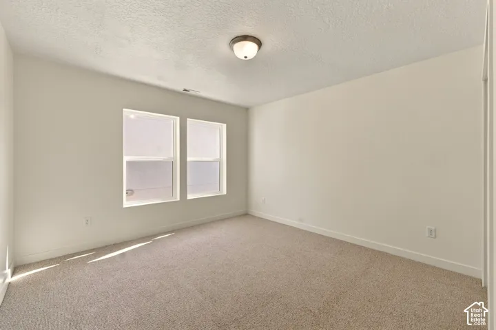 Neutral-toned room featuring textured carpeting, two windows with white frames, and a flush-mount overhead light fixture