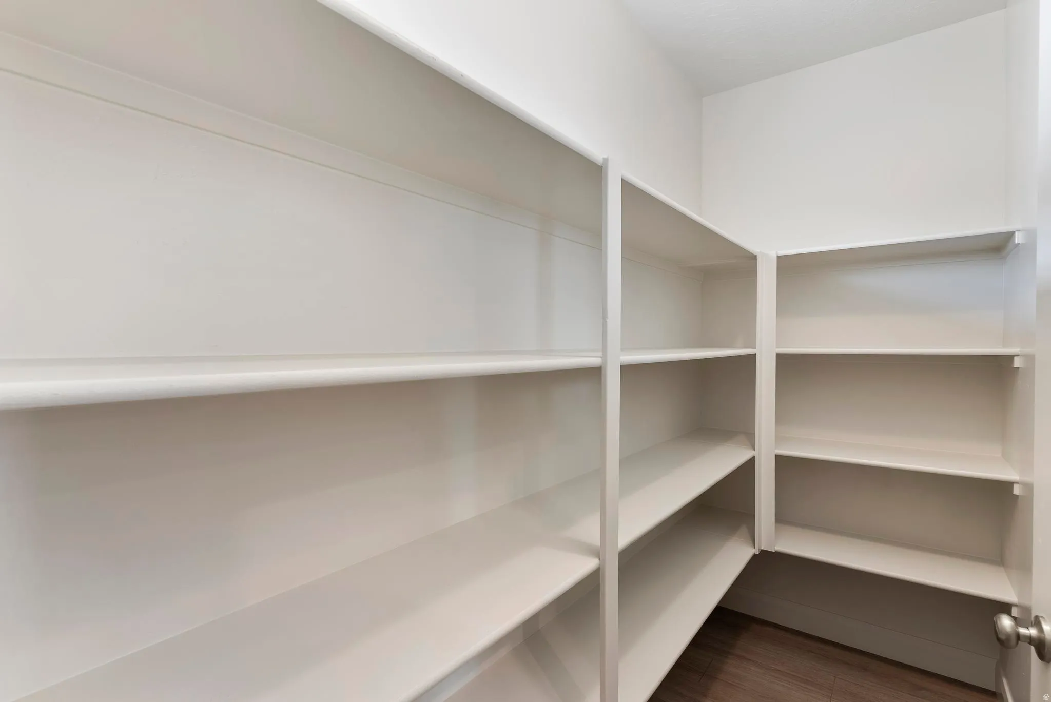 Walk-in pantry featuring extensive white shelving and wood-finish flooring