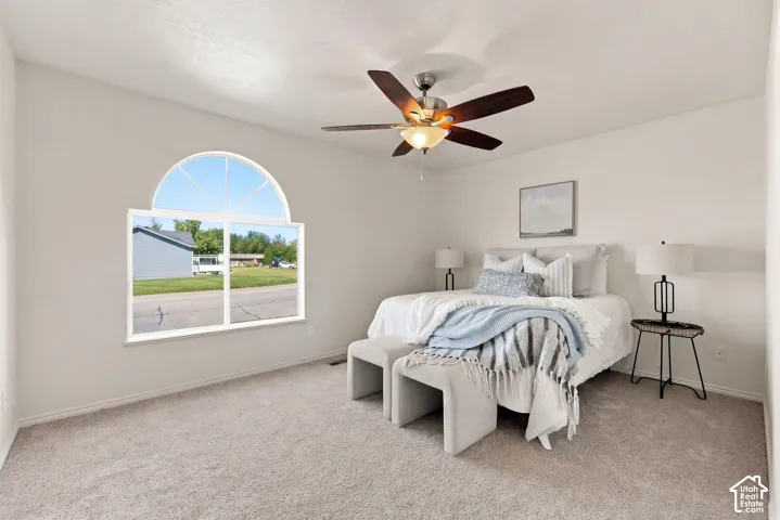 Arched window with light-toned framing