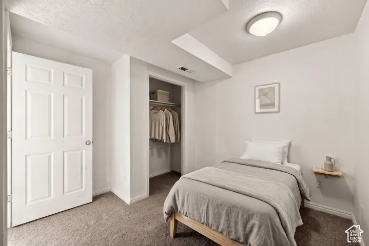 Wall-to-wall carpeting with built-in closet shelving and hanging rod.  Virtual display