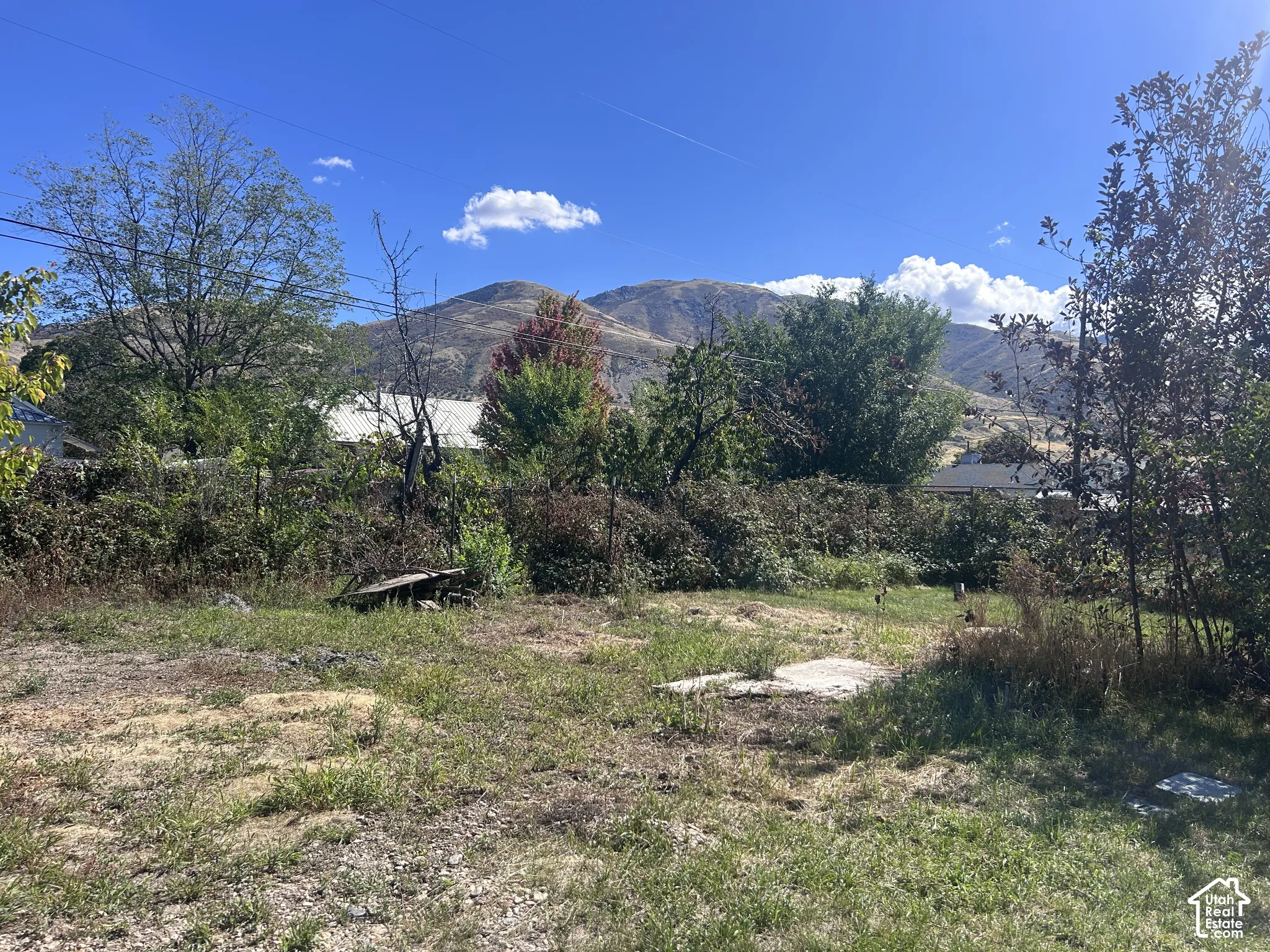 Irrigation (30 min/twice a week) for the garden area in the back of the property