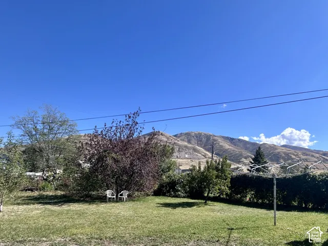 Auto sprinklers for the lawn areas plus a handy clothesline