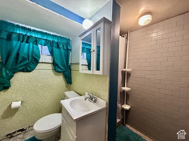 Bath with shower in the basement