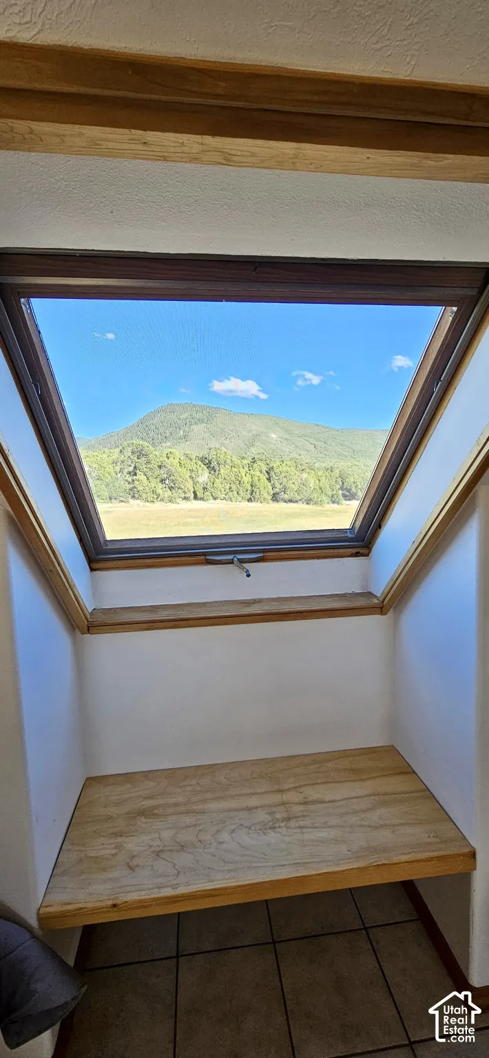 Sloped skylight with mountain scenery, framed by wood trim