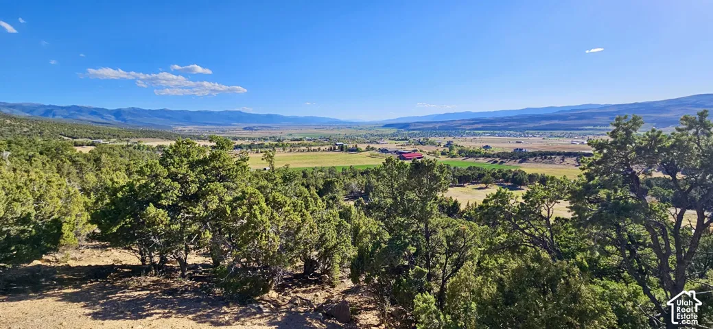 Expansive landscape featuring distant mountains, verdant fields, and scattered trees