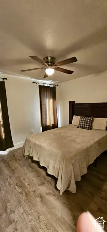 Wood-finish flooring, ceiling fan with integrated lighting, and dual windows