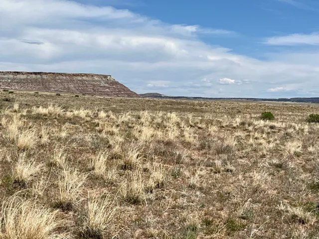 42424 Kokopelli Trl, Cisco, Utah 84515